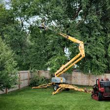 Lawn Grading and Leveling in Palmer Lake, CO